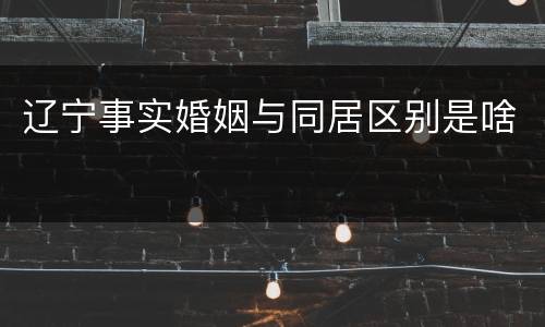 辽宁事实婚姻与同居区别是啥