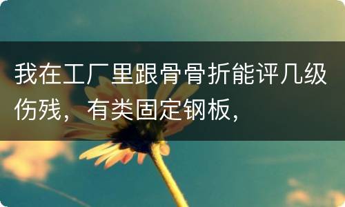 我在工厂里跟骨骨折能评几级伤残，有类固定钢板，