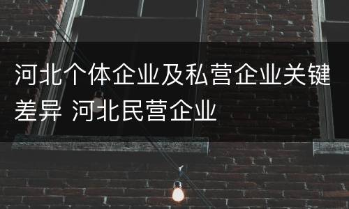 河北个体企业及私营企业关键差异 河北民营企业