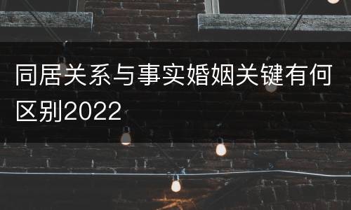 同居关系与事实婚姻关键有何区别2022