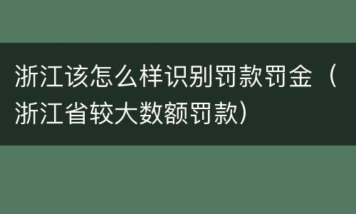 浙江该怎么样识别罚款罚金（浙江省较大数额罚款）