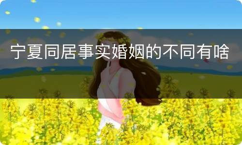 宁夏同居事实婚姻的不同有啥