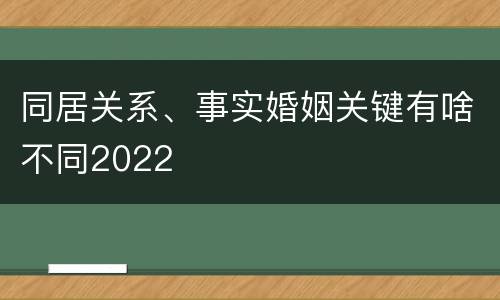同居关系、事实婚姻关键有啥不同2022