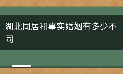 湖北同居和事实婚姻有多少不同