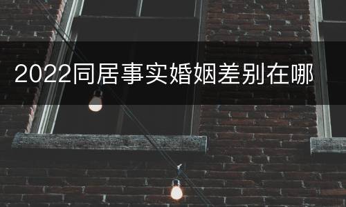 2022同居事实婚姻差别在哪