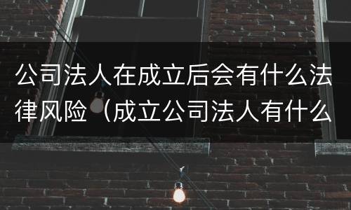公司法人在成立后会有什么法律风险（成立公司法人有什么责任）