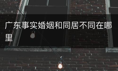 广东事实婚姻和同居不同在哪里