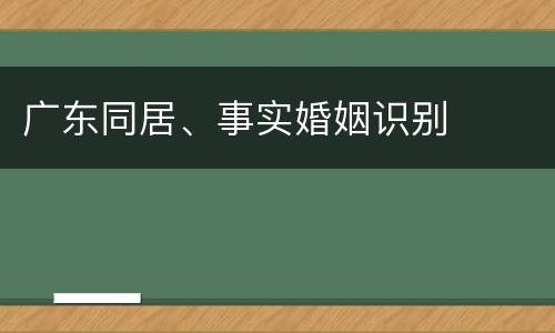 广东同居、事实婚姻识别