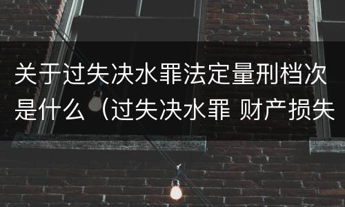 关于过失决水罪法定量刑档次是什么（过失决水罪 财产损失标准）