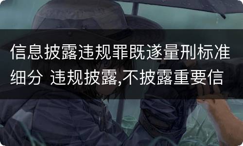 信息披露违规罪既遂量刑标准细分 违规披露,不披露重要信息罪判例