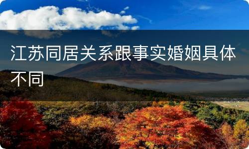 江苏同居关系跟事实婚姻具体不同