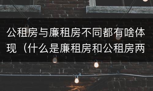 公租房与廉租房不同都有啥体现（什么是廉租房和公租房两个有什么特点）