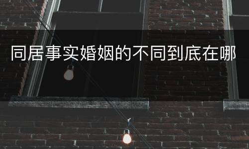 同居事实婚姻的不同到底在哪