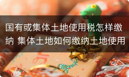 国有或集体土地使用税怎样缴纳 集体土地如何缴纳土地使用税