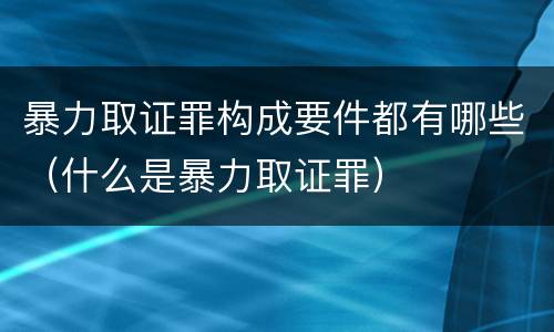 暴力取证罪构成要件都有哪些（什么是暴力取证罪）