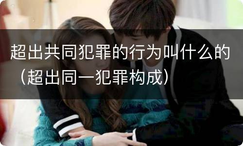 超出共同犯罪的行为叫什么的（超出同一犯罪构成）