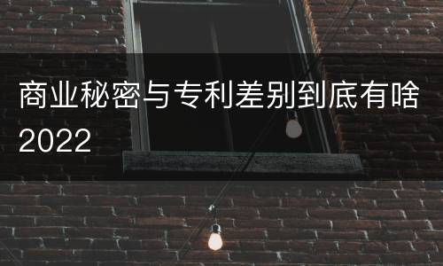商业秘密与专利差别到底有啥2022