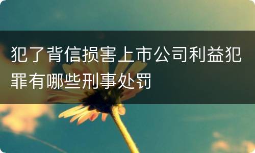 犯了背信损害上市公司利益犯罪有哪些刑事处罚