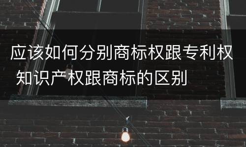 应该如何分别商标权跟专利权 知识产权跟商标的区别
