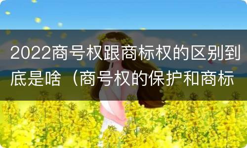 2022商号权跟商标权的区别到底是啥（商号权的保护和商标权的保护一样是全国性范围的）