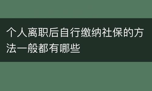 个人离职后自行缴纳社保的方法一般都有哪些