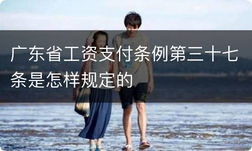 广东省工资支付条例第三十七条是怎样规定的