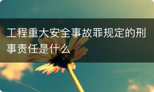 工程重大安全事故罪规定的刑事责任是什么
