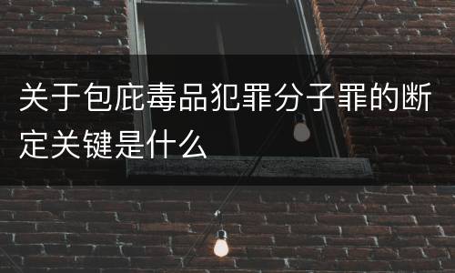 关于包庇毒品犯罪分子罪的断定关键是什么