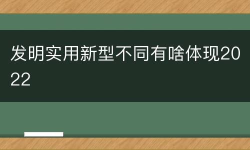 发明实用新型不同有啥体现2022