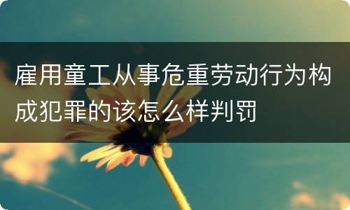 雇用童工从事危重劳动行为构成犯罪的该怎么样判罚
