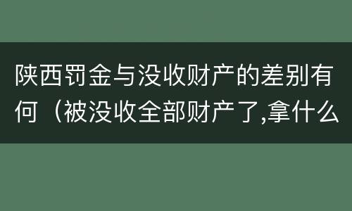 陕西罚金与没收财产的差别有何（被没收全部财产了,拿什么交罚金）
