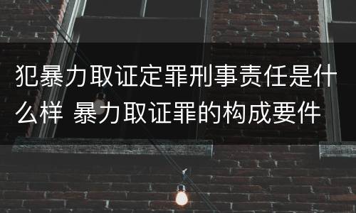 犯暴力取证定罪刑事责任是什么样 暴力取证罪的构成要件