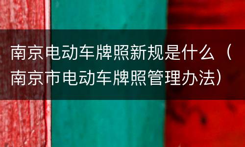 南京电动车牌照新规是什么（南京市电动车牌照管理办法）