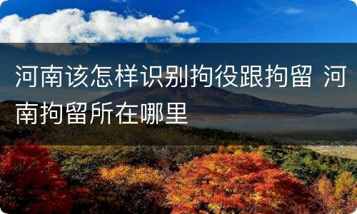 河南该怎样识别拘役跟拘留 河南拘留所在哪里