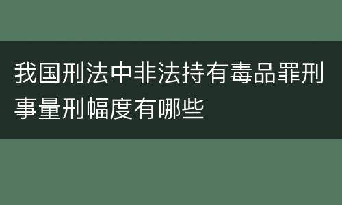 我国刑法中非法持有毒品罪刑事量刑幅度有哪些