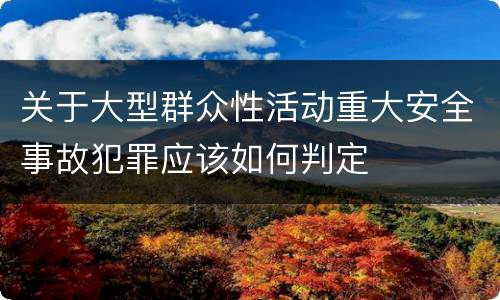 关于大型群众性活动重大安全事故犯罪应该如何判定