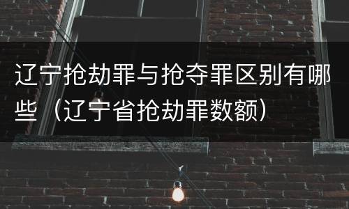 辽宁抢劫罪与抢夺罪区别有哪些（辽宁省抢劫罪数额）