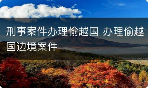 刑事案件办理偷越国 办理偷越国边境案件