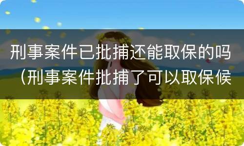 刑事案件已批捕还能取保的吗（刑事案件批捕了可以取保候审吗）