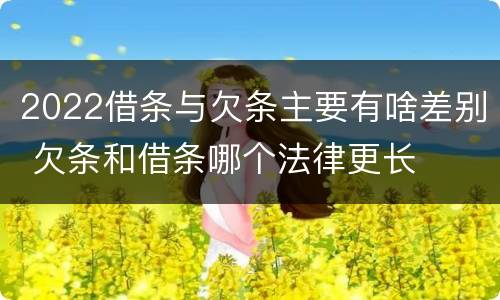 2022借条与欠条主要有啥差别 欠条和借条哪个法律更长