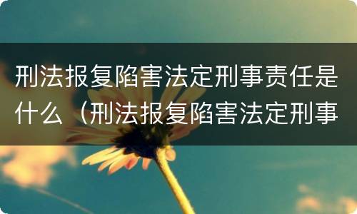 刑法报复陷害法定刑事责任是什么（刑法报复陷害法定刑事责任是什么罪）