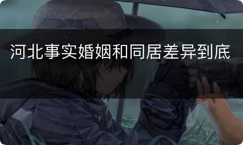 河北事实婚姻和同居差异到底