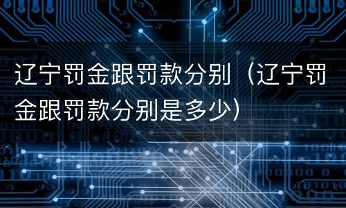辽宁罚金跟罚款分别（辽宁罚金跟罚款分别是多少）