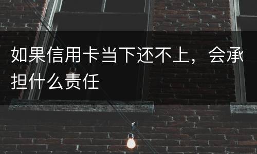 如果信用卡当下还不上，会承担什么责任