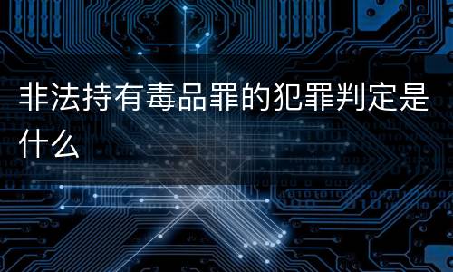 非法持有毒品罪的犯罪判定是什么