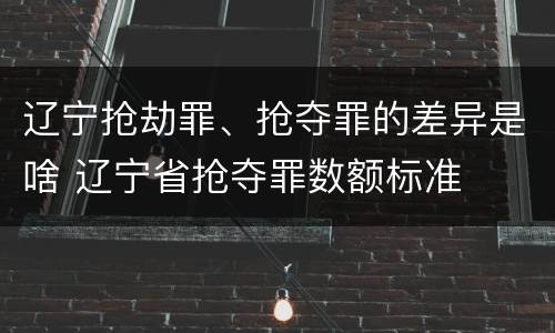 辽宁抢劫罪、抢夺罪的差异是啥 辽宁省抢夺罪数额标准