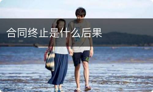 合同终止是什么后果