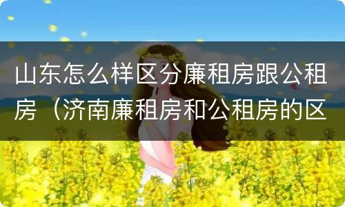 山东怎么样区分廉租房跟公租房（济南廉租房和公租房的区别）