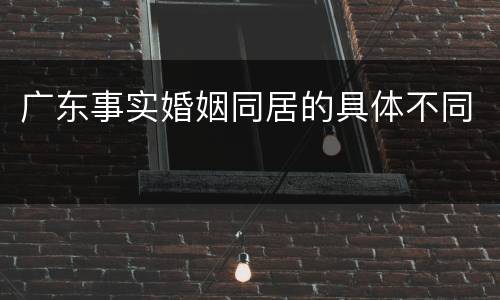 广东事实婚姻同居的具体不同