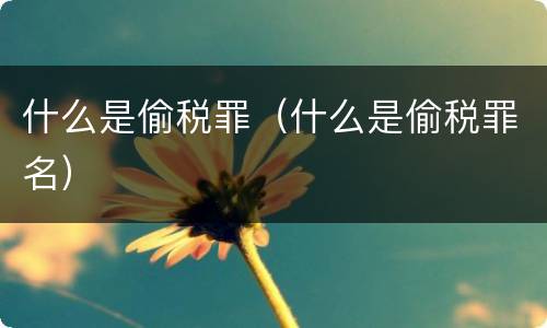 什么是偷税罪（什么是偷税罪名）